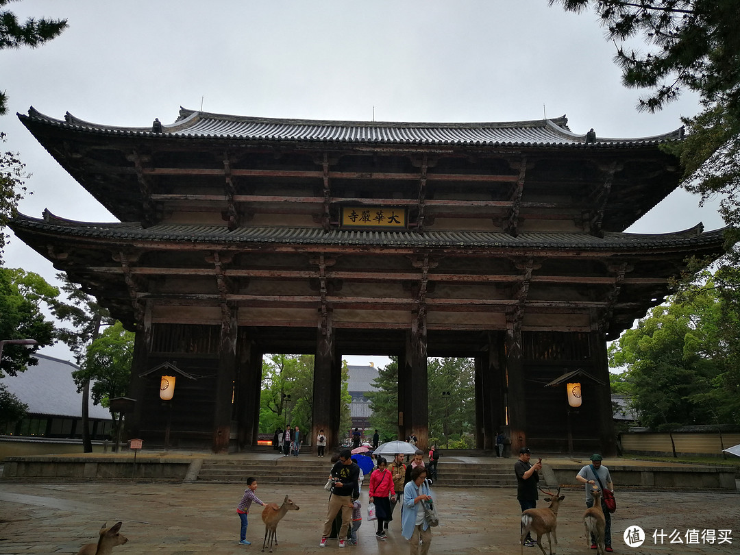 奈良周末两日游