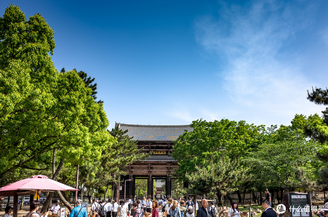 奈良周末两日游