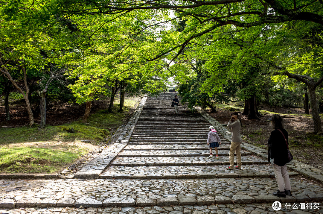 奈良周末两日游