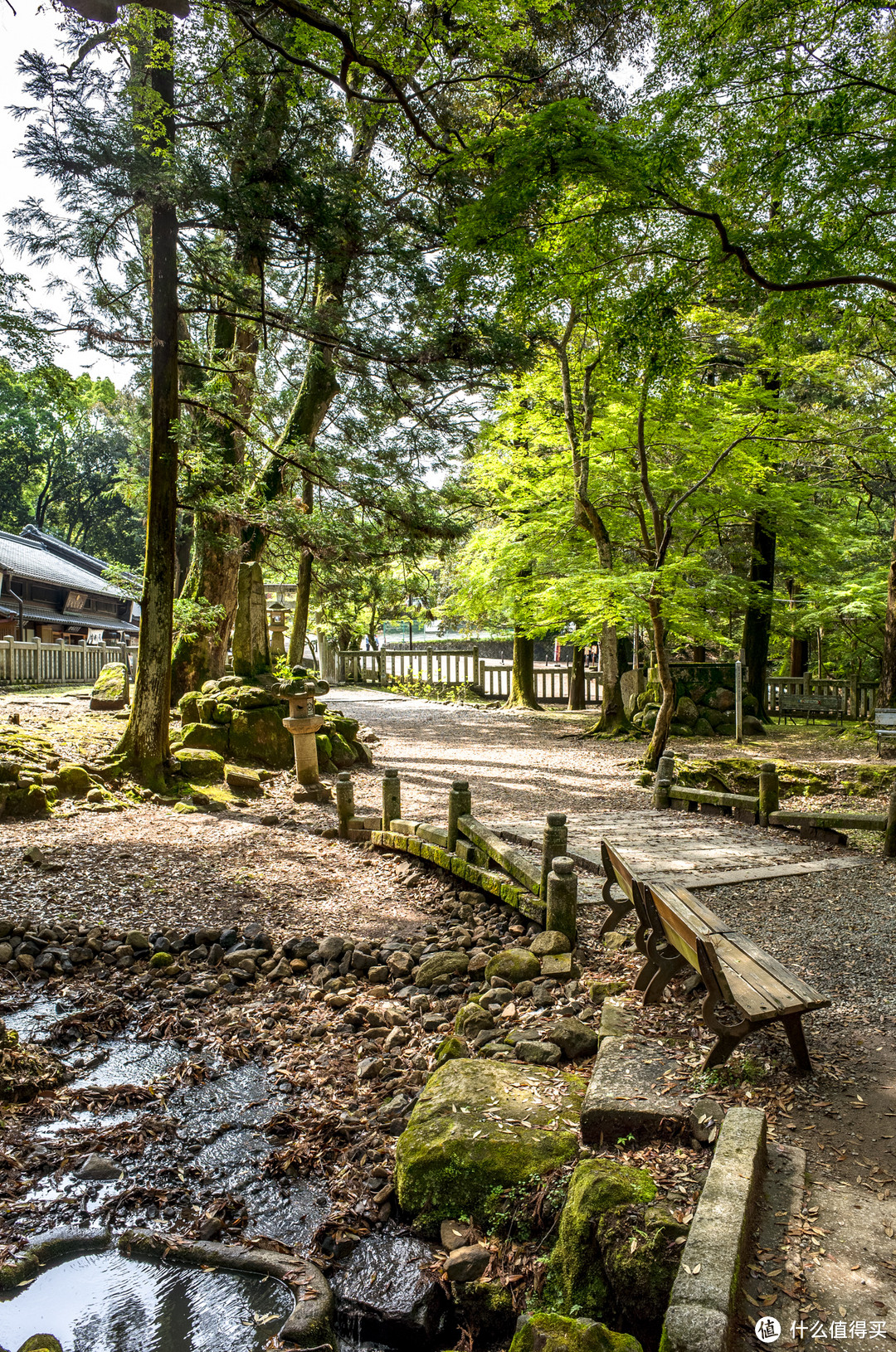 奈良周末两日游