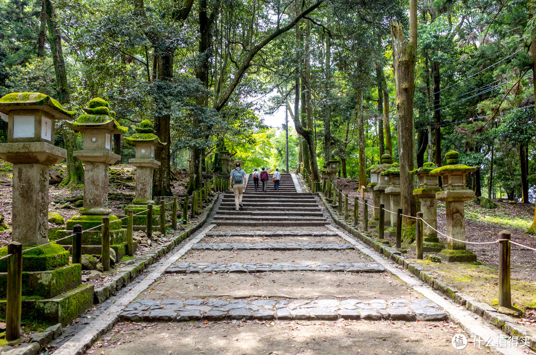 奈良周末两日游