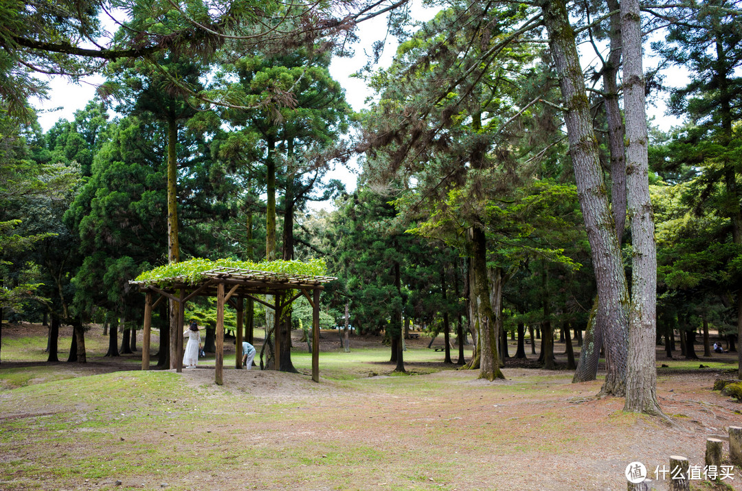 奈良周末两日游