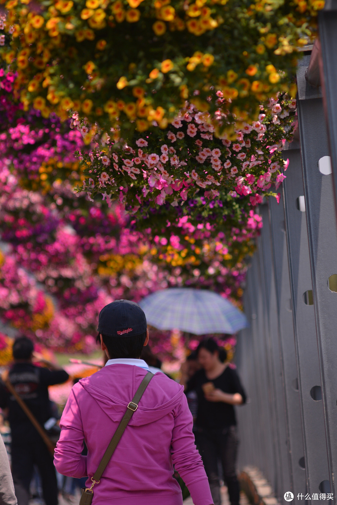 东蔡 Carl Zeiss Jena Biometar 80/2.8 MC 中画幅镜头