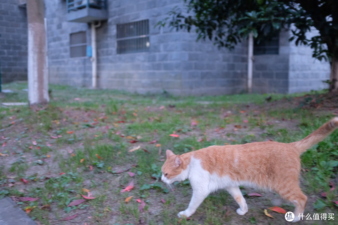 值与不值之间我选择了喜欢——FUJIFILM 富士 x100f  相机 开箱