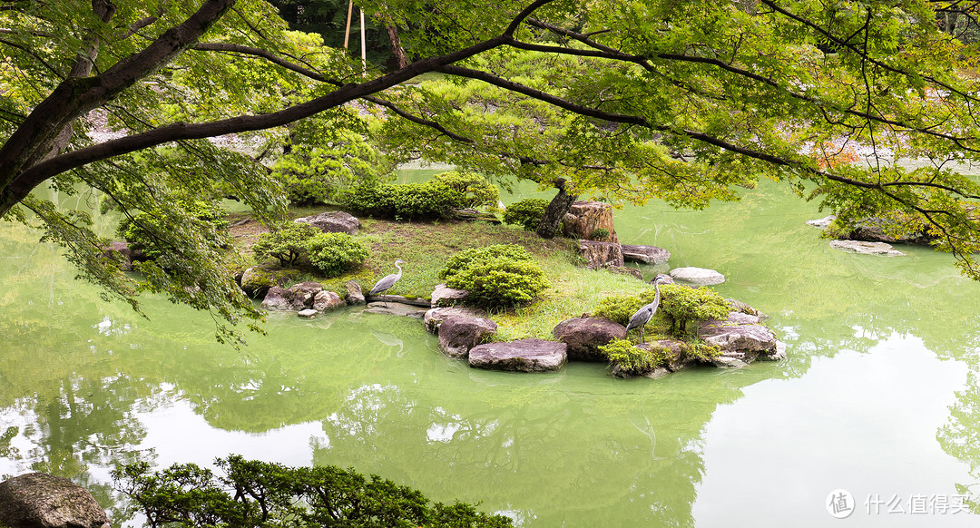 第八日 仙洞御所，伏见稻荷大社