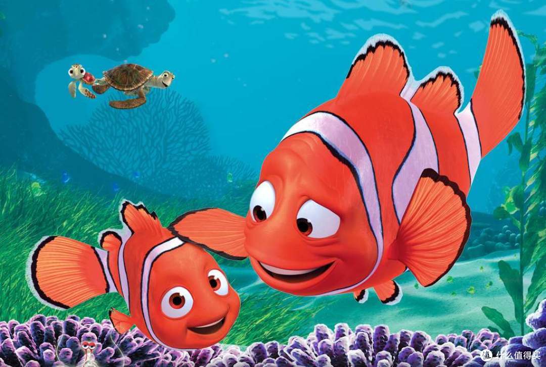 海底总动员小丑鱼其实有很多种,这个可能就是电影的原型这些鱼脸上都