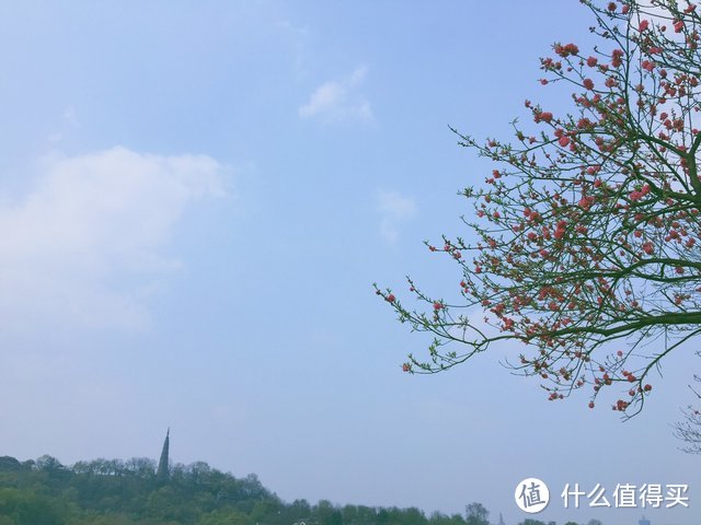 浮生若梦，不负春光———杭州两日自行车之旅