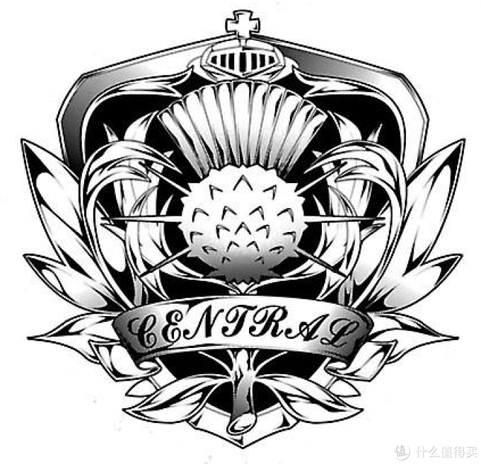 #热征##啤酒#啤酒杯的三千世界:从分类到选购