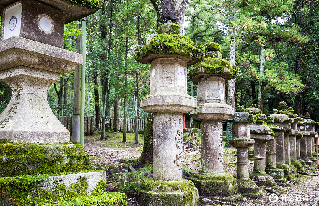 第九日 奈良行，春日大社，东大寺