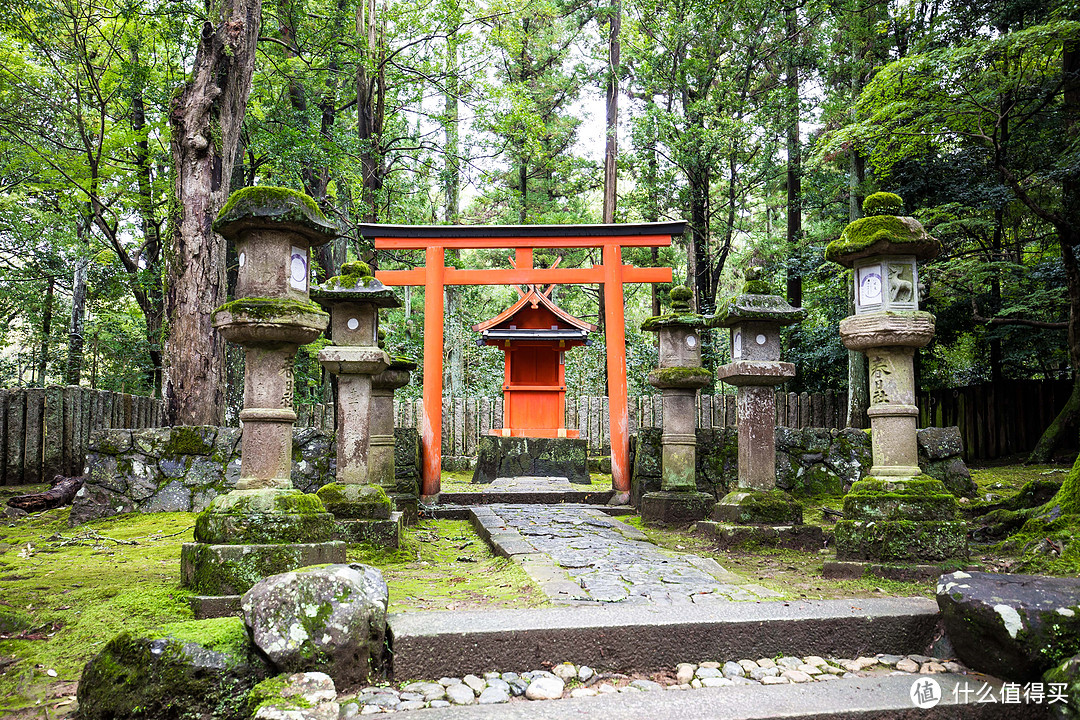 第九日 奈良行，春日大社，东大寺