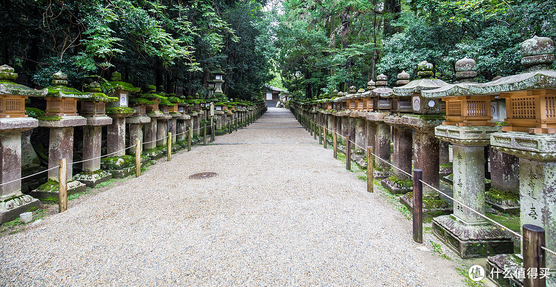 第九日 奈良行，春日大社，东大寺