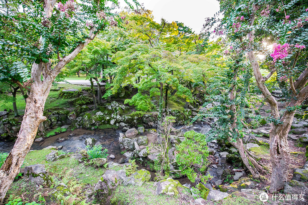 第九日 奈良行，春日大社，东大寺