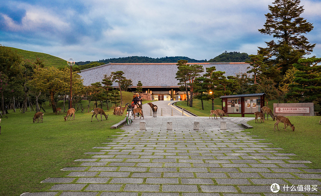 第九日 奈良行，春日大社，东大寺