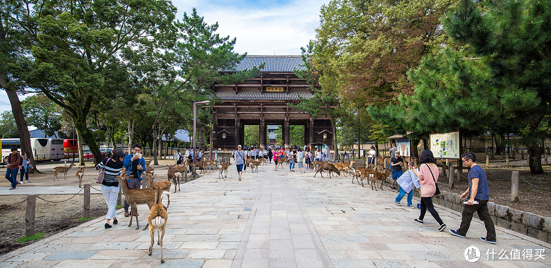 第九日 奈良行，春日大社，东大寺