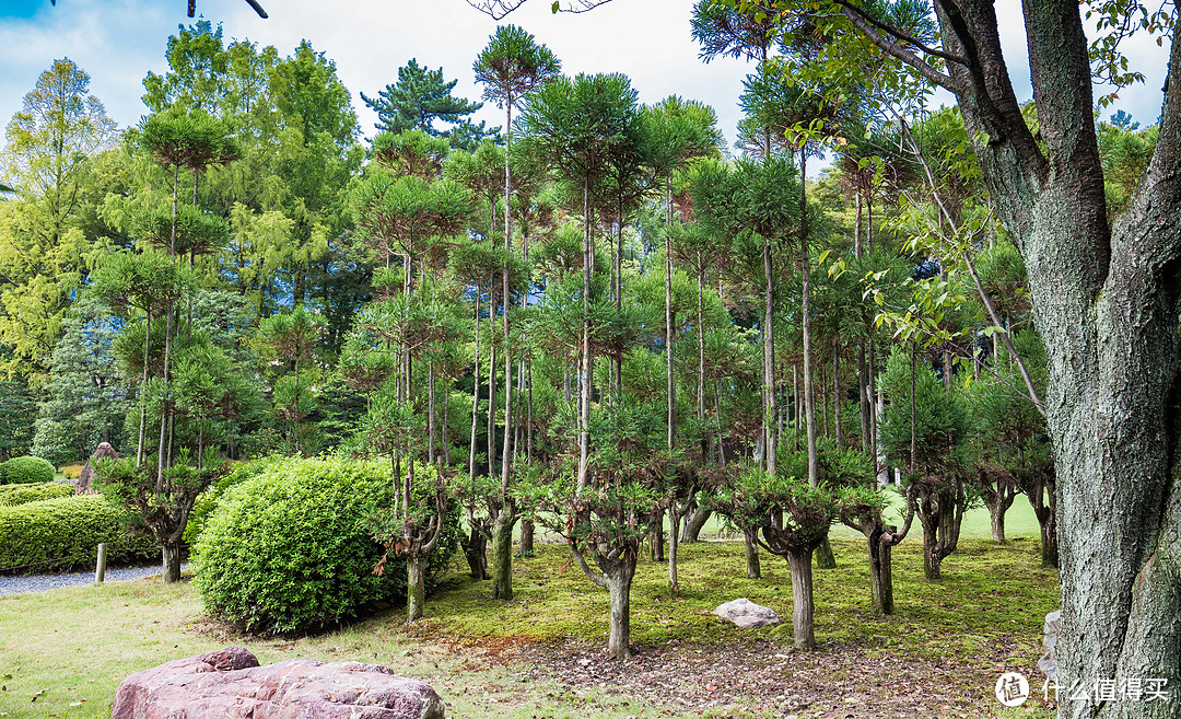 第十日 二条城，东西本愿寺