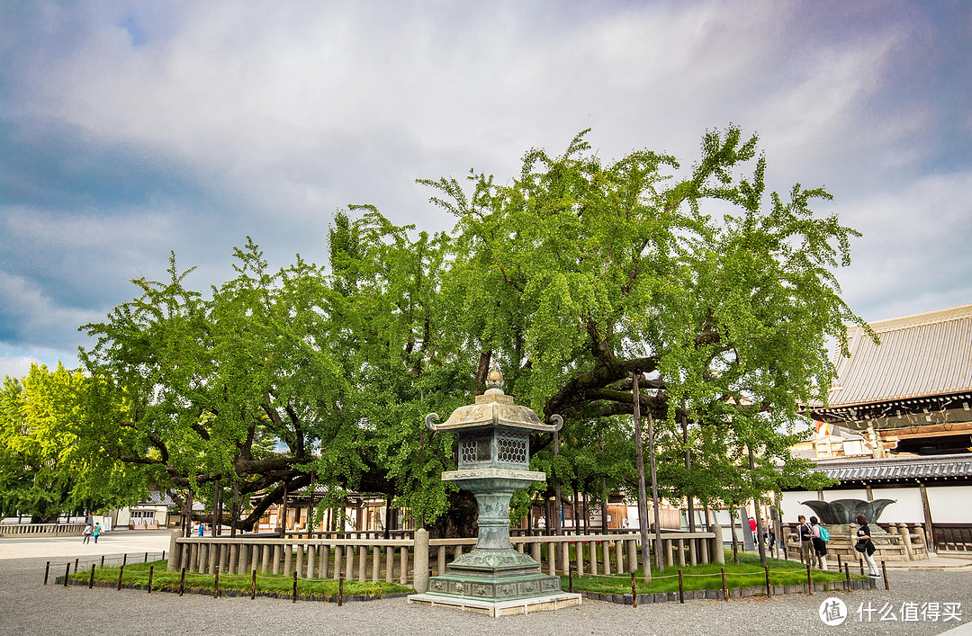 第十日 二条城，东西本愿寺