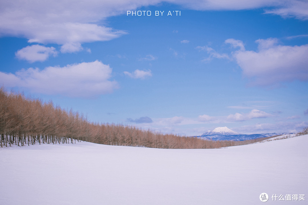 遛娃去到“非诚勿扰”——北海道10日