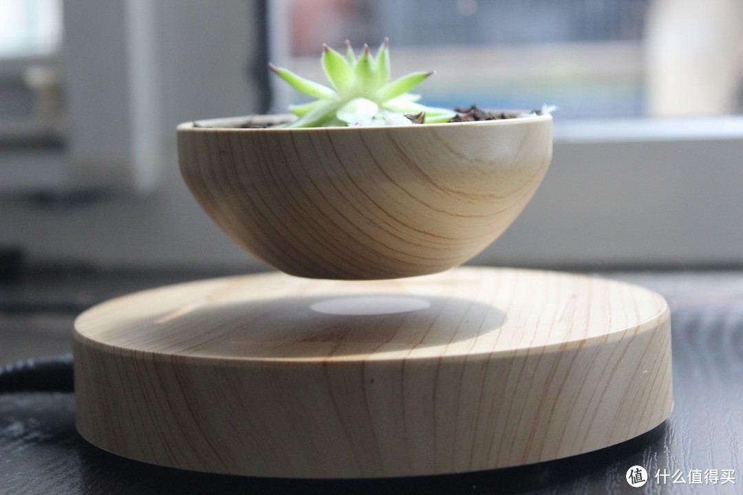 创意绿植小礼物——磁悬浮盆栽