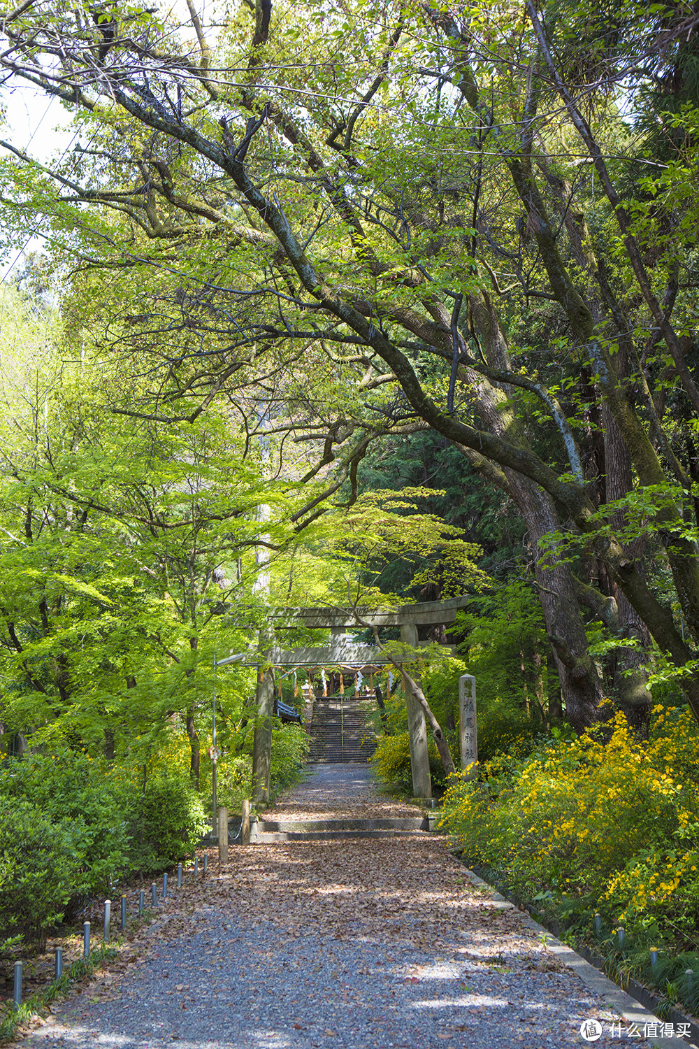 探访日本威士忌发源地——山崎蒸馏所（游览篇）