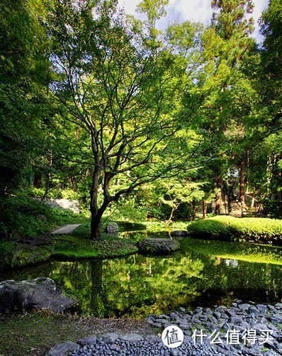 探访日本威士忌发源地——山崎蒸馏所（游览篇）