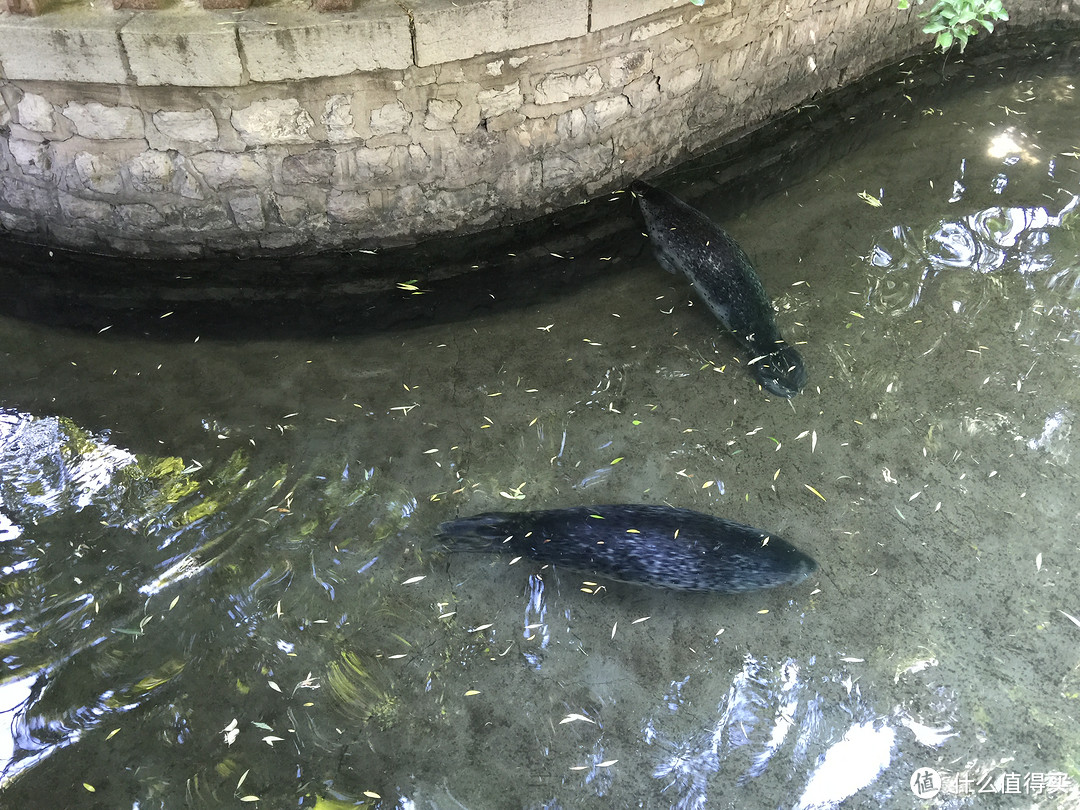 记一次济南青岛四日游