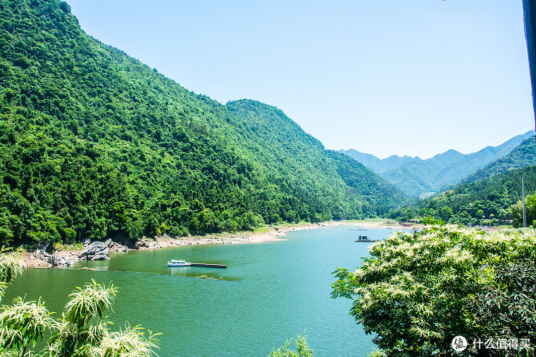 记端午节千岛湖特别认真的遛狗之旅