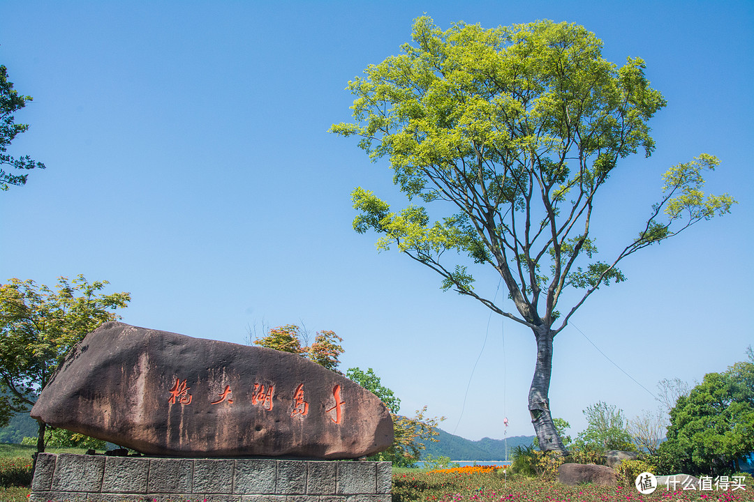 记端午节千岛湖特别认真的遛狗之旅