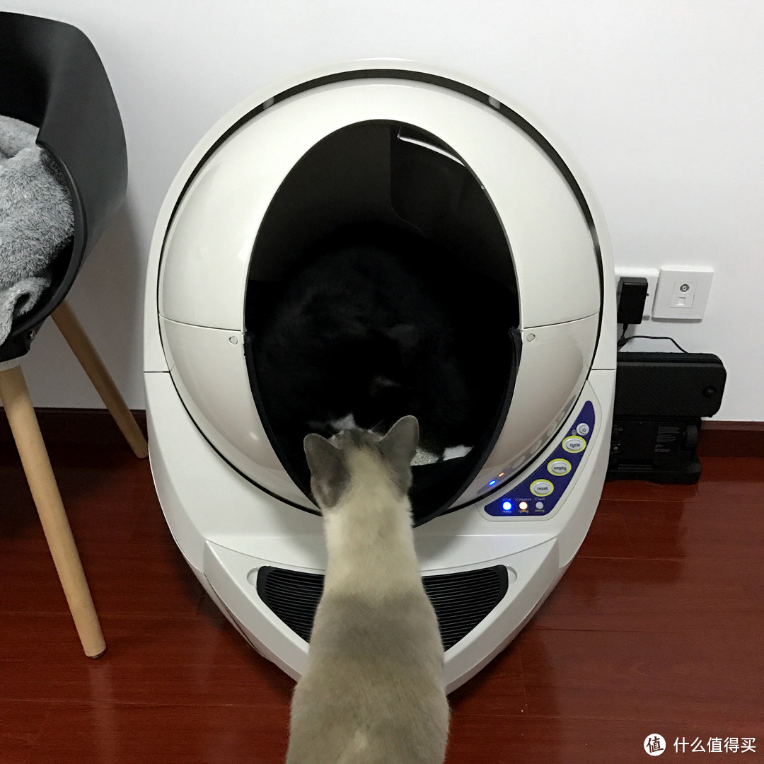#本站首晒# Litter-Robot III 全自动智能猫厕所：铲屎官的终极目标