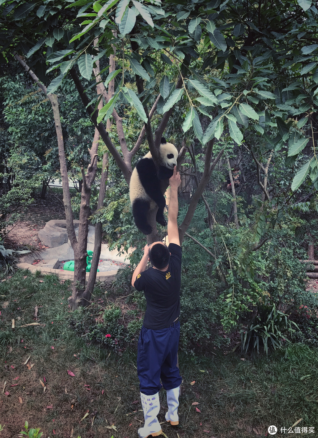 少不入川：一个杭州人在成都的旅行生存指南