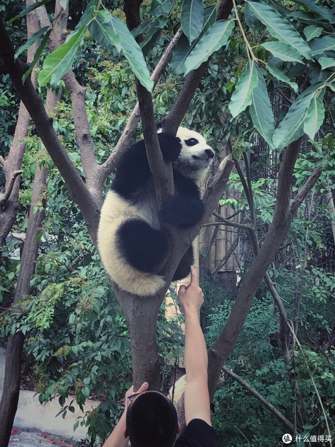 少不入川：一个杭州人在成都的旅行生存指南