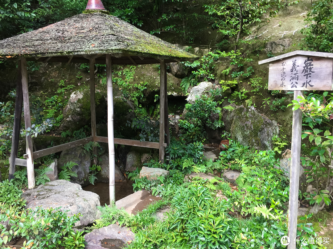 第十一日 金阁寺，岚山景区