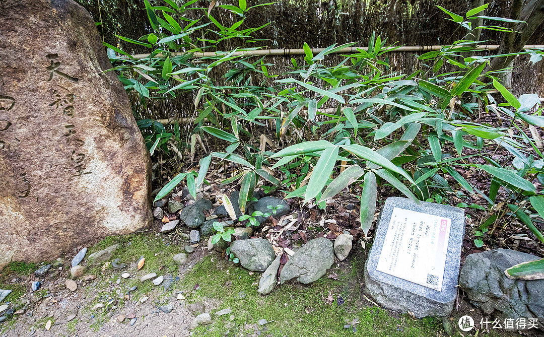 第十一日 金阁寺，岚山景区