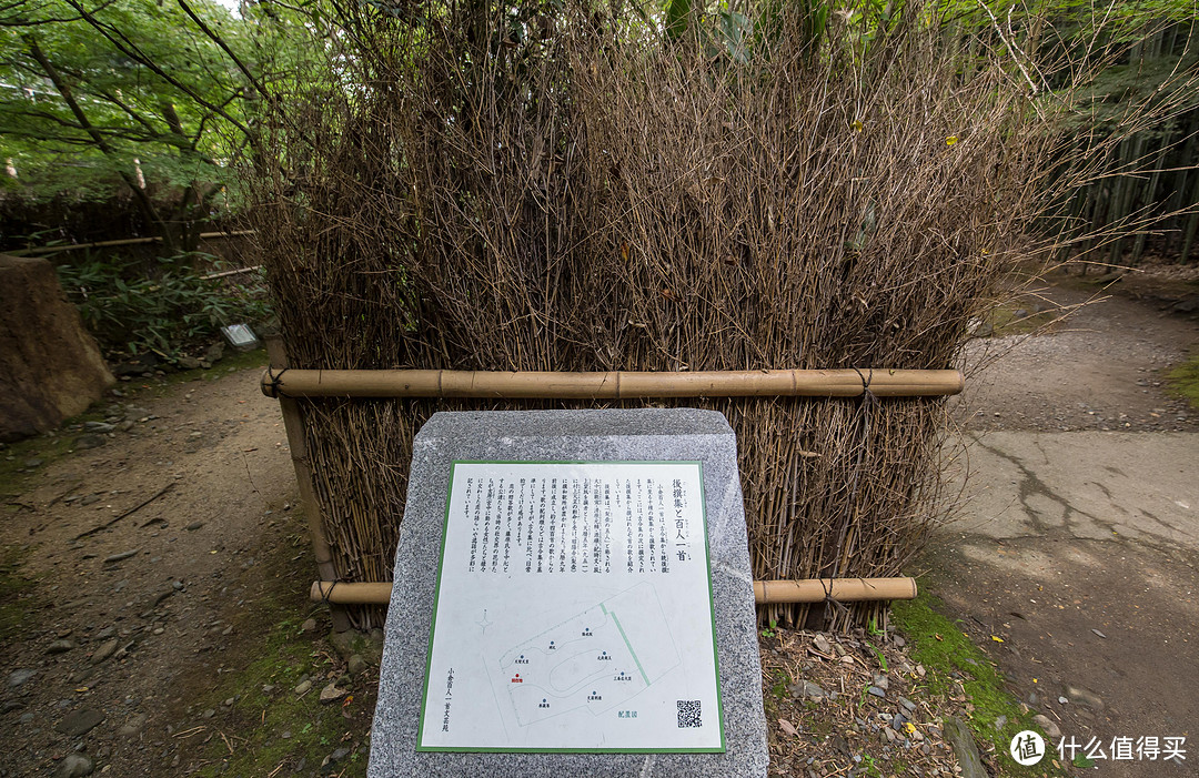 第十一日 金阁寺，岚山景区