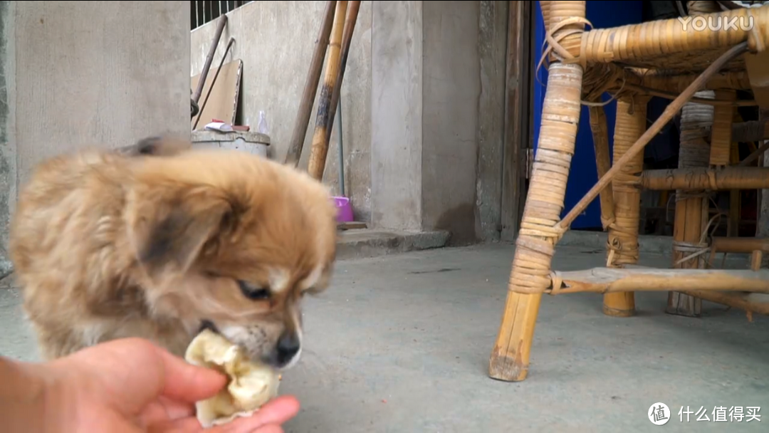 江南大大大大馄饨，来自包邮地区的美食