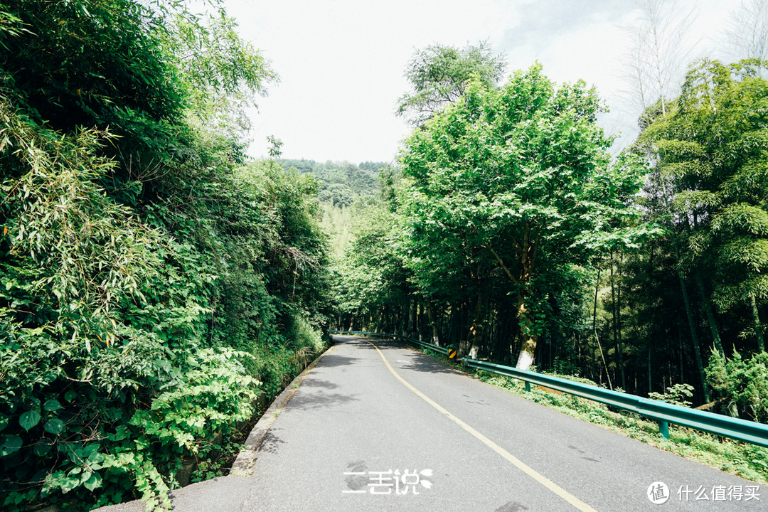 自驾山上的一路风景都是这样的！天气好的时候美呆了。