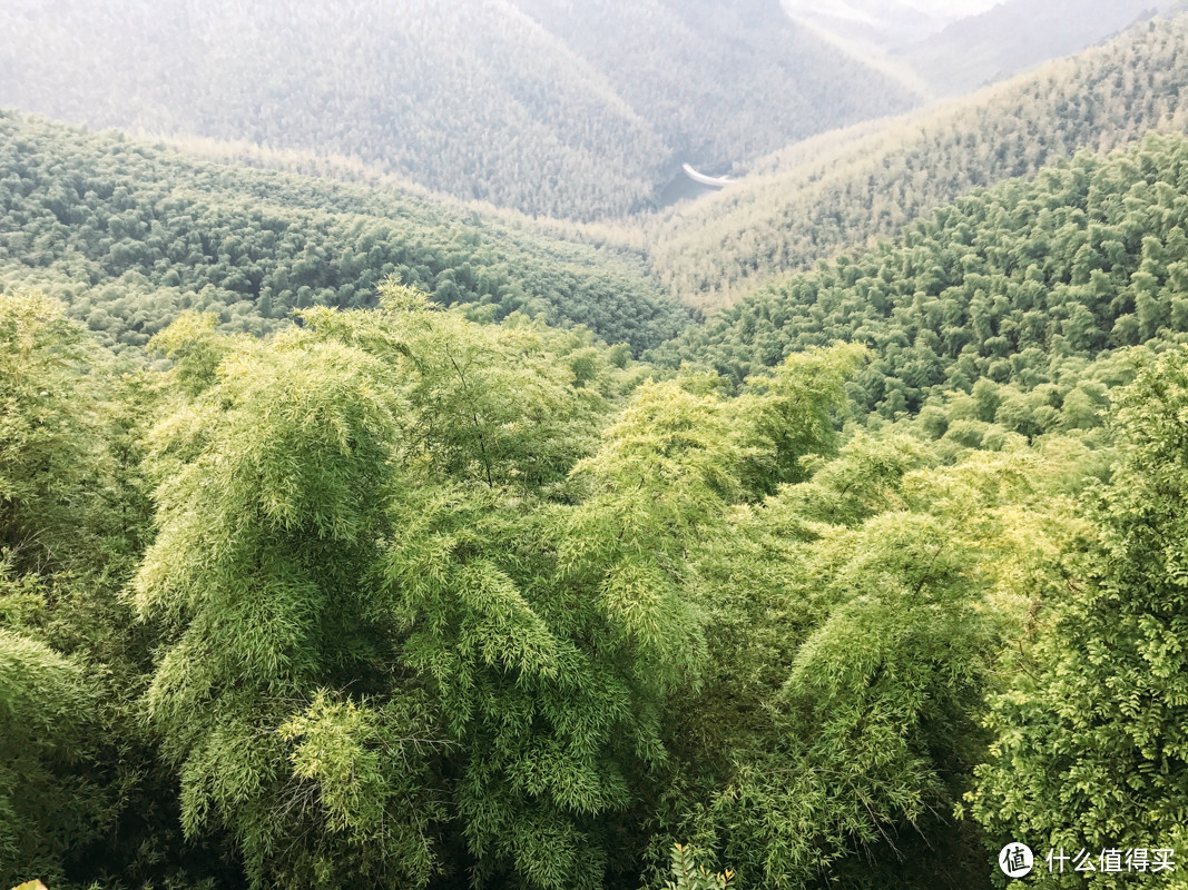 自驾莫干山的所有攻略都在这了