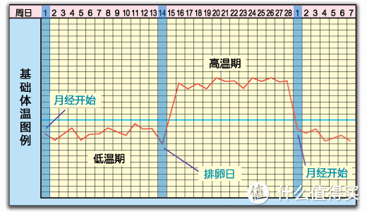 大龄高危产妇的艰难孕育之路