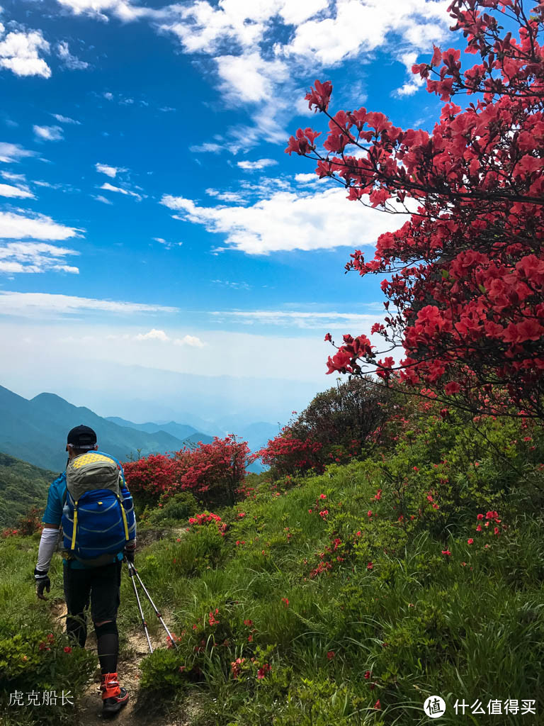 2017年 端午真宝鼎穿越南宝鼎，行走在满山花海与银河下