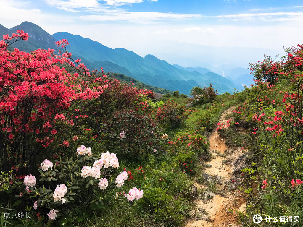 2017年 端午真宝鼎穿越南宝鼎，行走在满山花海与银河下