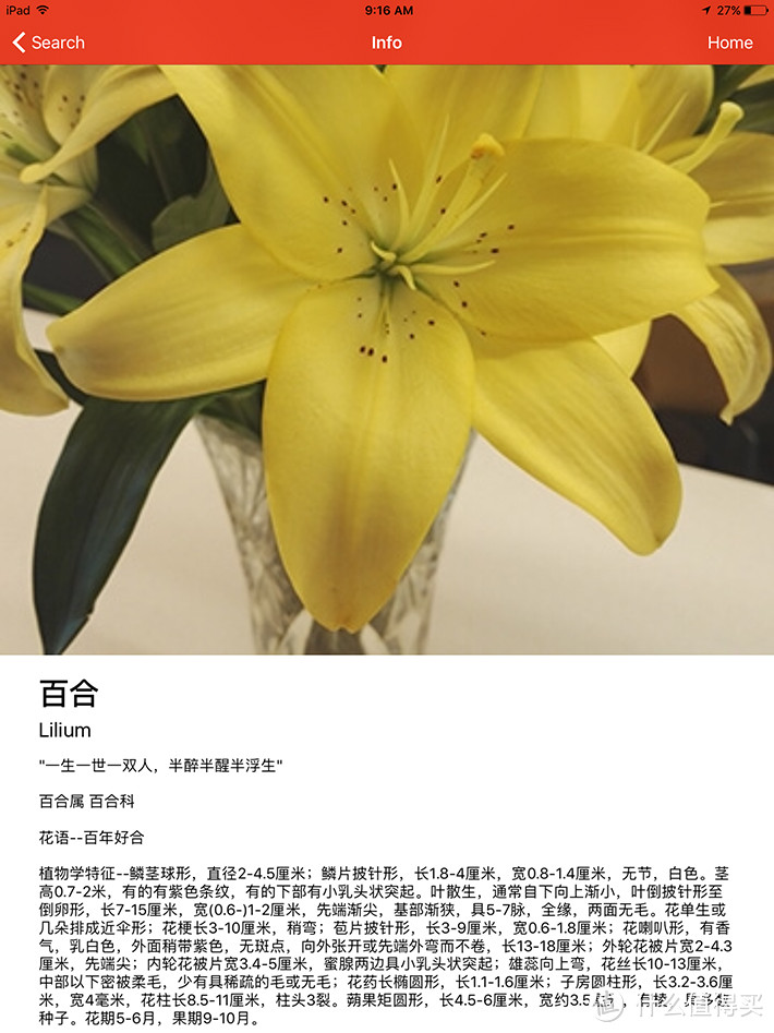 #买值618#拥有这些iPad App，让孩子在暑假学习有趣实用技能