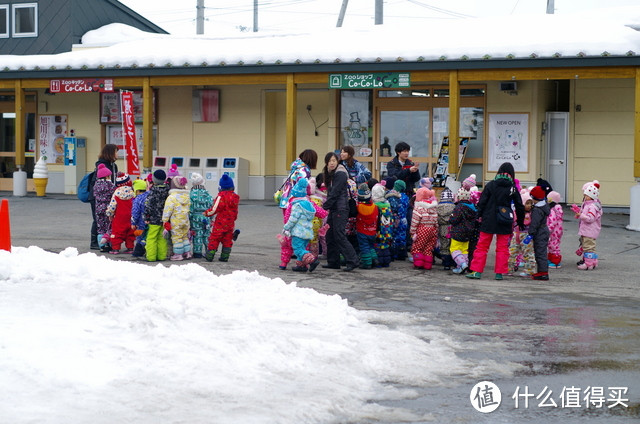 北海道的晴与雪，道南6日游记