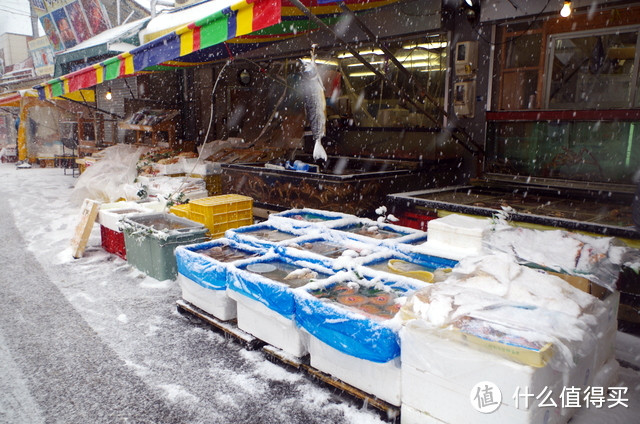 北海道的晴与雪，道南6日游记