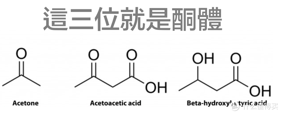 狂吃不动暴瘦40斤-科普篇