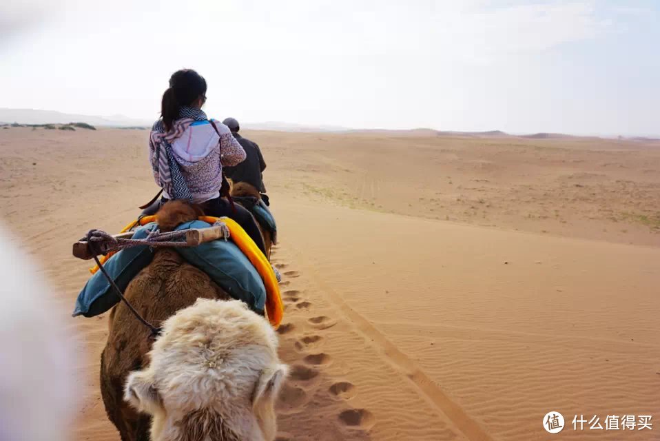 这颗镜头非常适合旅行（左下角是为了防止进沙包的塑料袋）