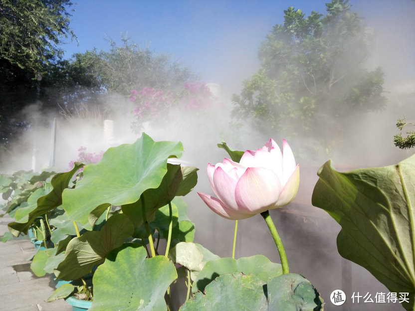 大结局之火焰山与库木塔格沙漠