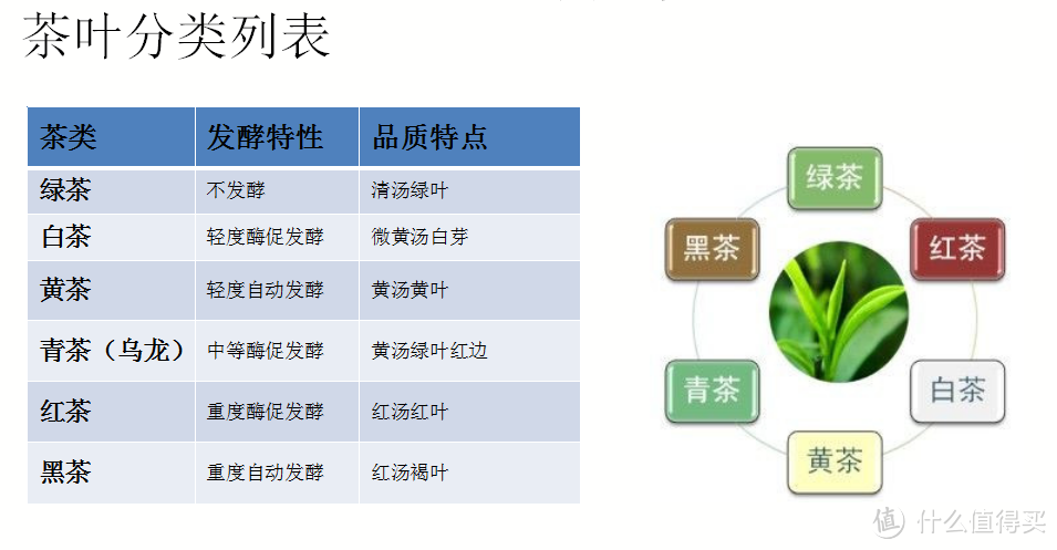 一个90后茶人的一篇基础科普文