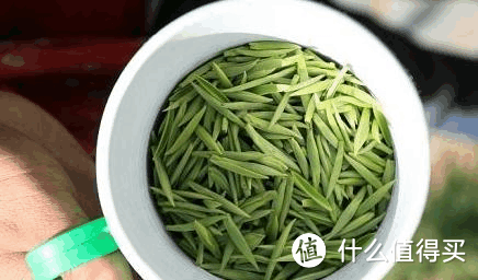 一个90后茶人的一篇基础科普文