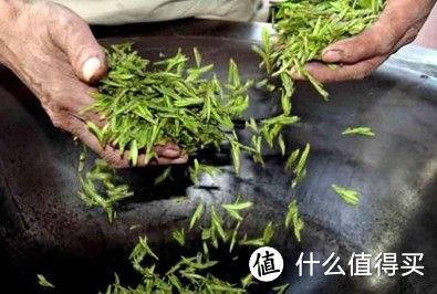 一个90后茶人的一篇基础科普文