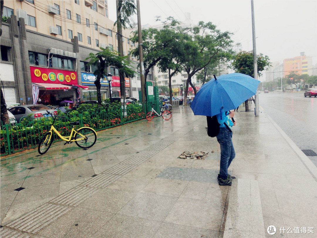 厦门土宅小面包带你兜兜那些游客们不会去的地儿#海鲜市场&水果中心#