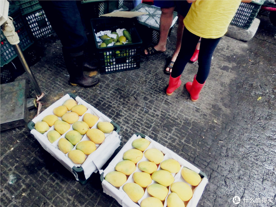 厦门土宅小面包带你兜兜那些游客们不会去的地儿#海鲜市场&水果中心#